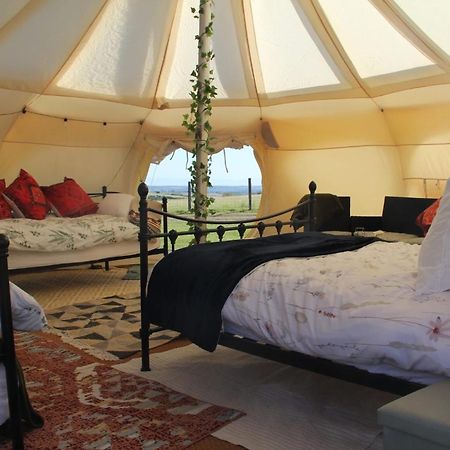Tal-Y-Fan Farm 6M Stargazer Tent Bridgend  Esterno foto