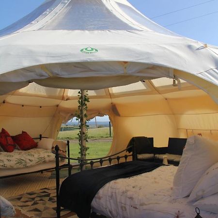 Tal-Y-Fan Farm 6M Stargazer Tent Bridgend  Esterno foto